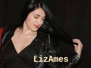 LizAmes