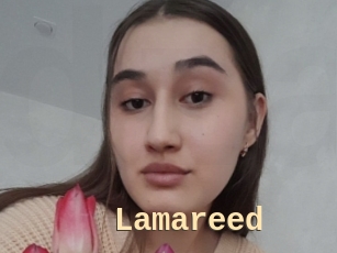 Lamareed