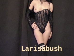 Larisabush