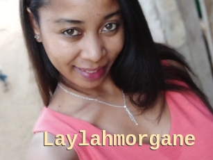 Laylahmorgane