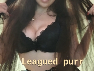 Leagued_purr