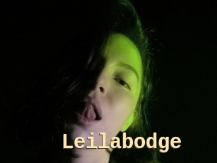 Leilabodge