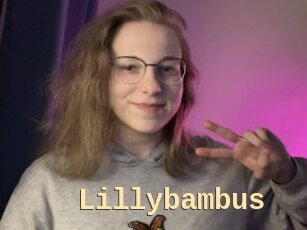 Lillybambus