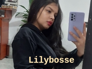 Lilybosse