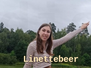 Linettebeer