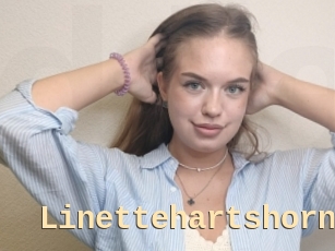 Linettehartshorn