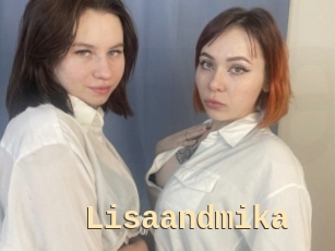 Lisaandmika