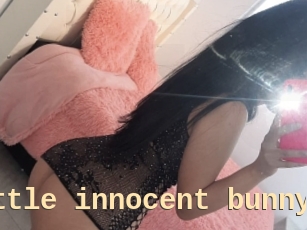 Little_innocent_bunny