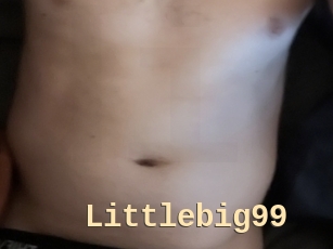 Littlebig99