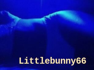 Littlebunny66