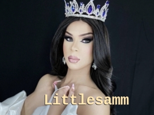 Littlesamm