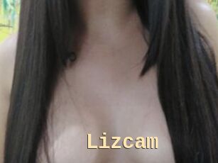 Lizcam