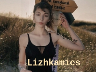 Lizhkamics