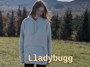 Lladybugg