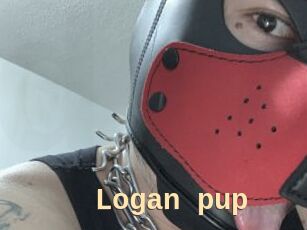 Logan_pup