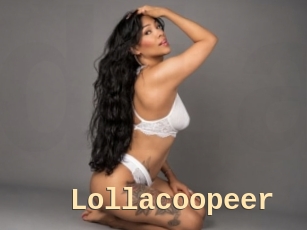 Lollacoopeer