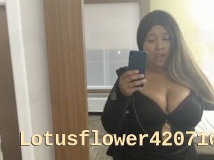 Lotusflower420710