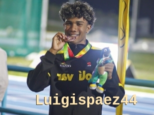 Luigispaez44