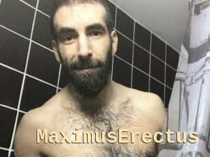 MaximusErectus