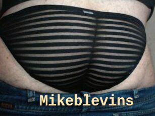 Mikeblevins