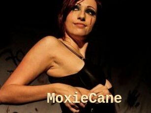 Moxie_Cane