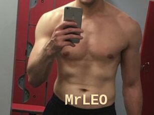 MrLEO