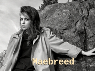 Maebreed