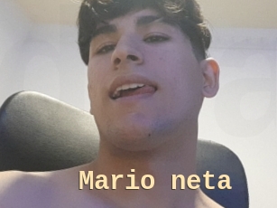 Mario_neta