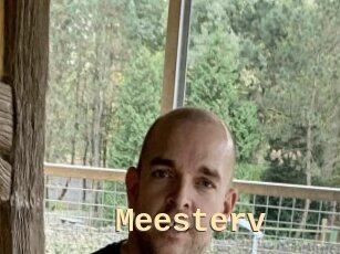 Meesterv