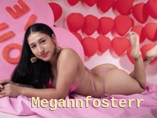 Megannfosterr