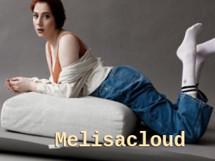 Melisacloud