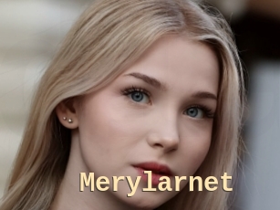 Merylarnet