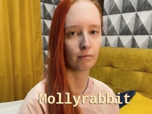 Mollyrabbit