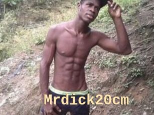 Mrdick20cm