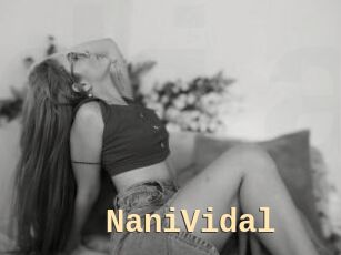 NaniVidal