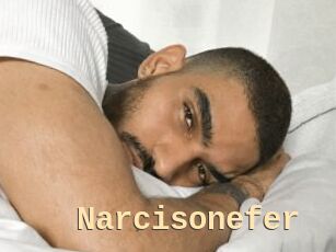 Narcisonefer