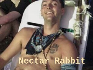 Nectar_Rabbit