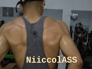 NiiccolASS