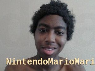 NintendoMarioMario