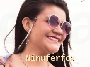 Ninuferfox