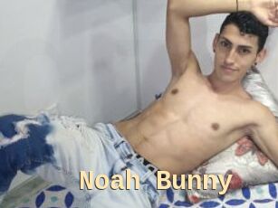 Noah_Bunny