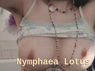 Nymphaea_Lotus