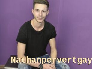 Nathanpervertgay