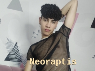 Neoraptis