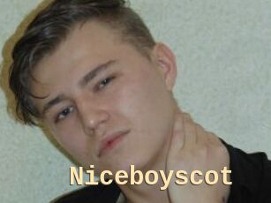 Niceboyscot