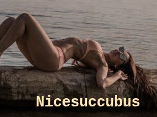 Nicesuccubus