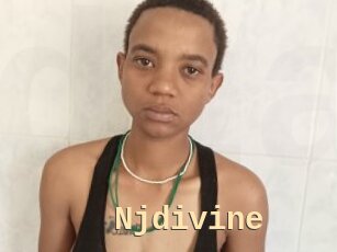 Njdivine