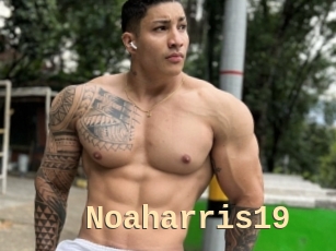 Noaharris19