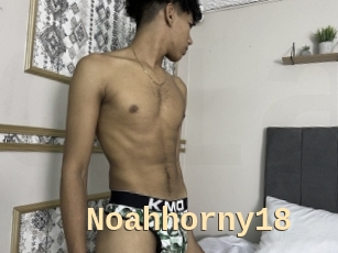 Noahhorny18