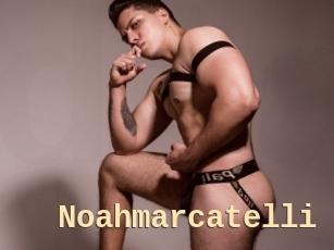 Noahmarcatelli